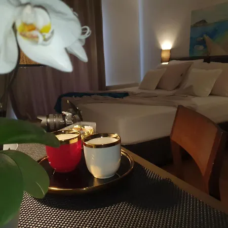 Pansion Preza Gasthuis 4*