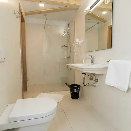 Pansion Preza Pensionat 4*