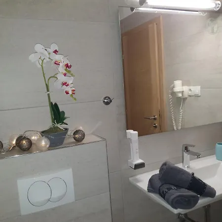 Vendégház Pansion Preza 4*