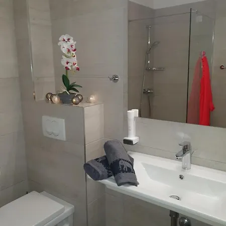 Guest house Pansion Preza 4*