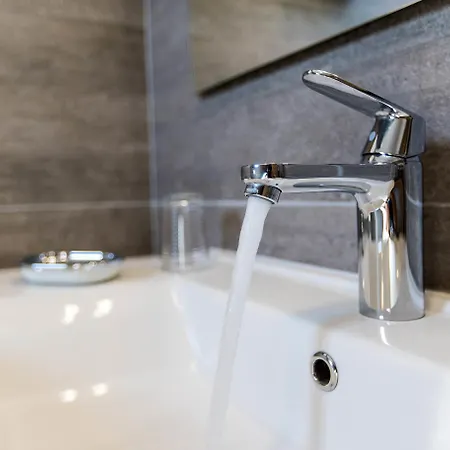 Pansion Preza 招待所