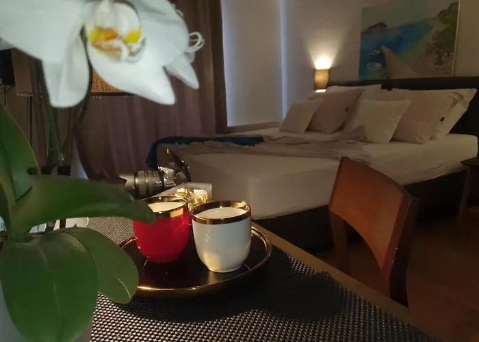 Pansion Preza Guest house 4*