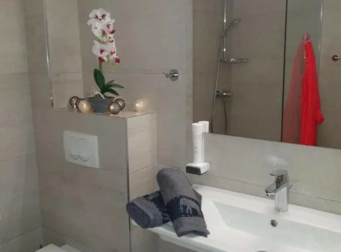 Guest house Pansion Preza 4*