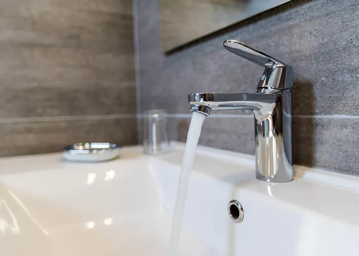 Pansion Preza Guest house